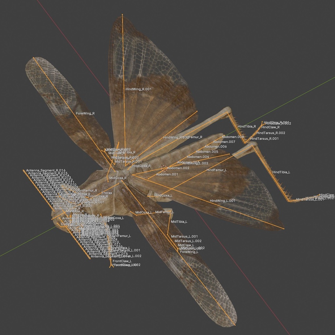 Locust Grasshopper 3D Model – Low Poly Rigged Asset with PBR Textures - View 14