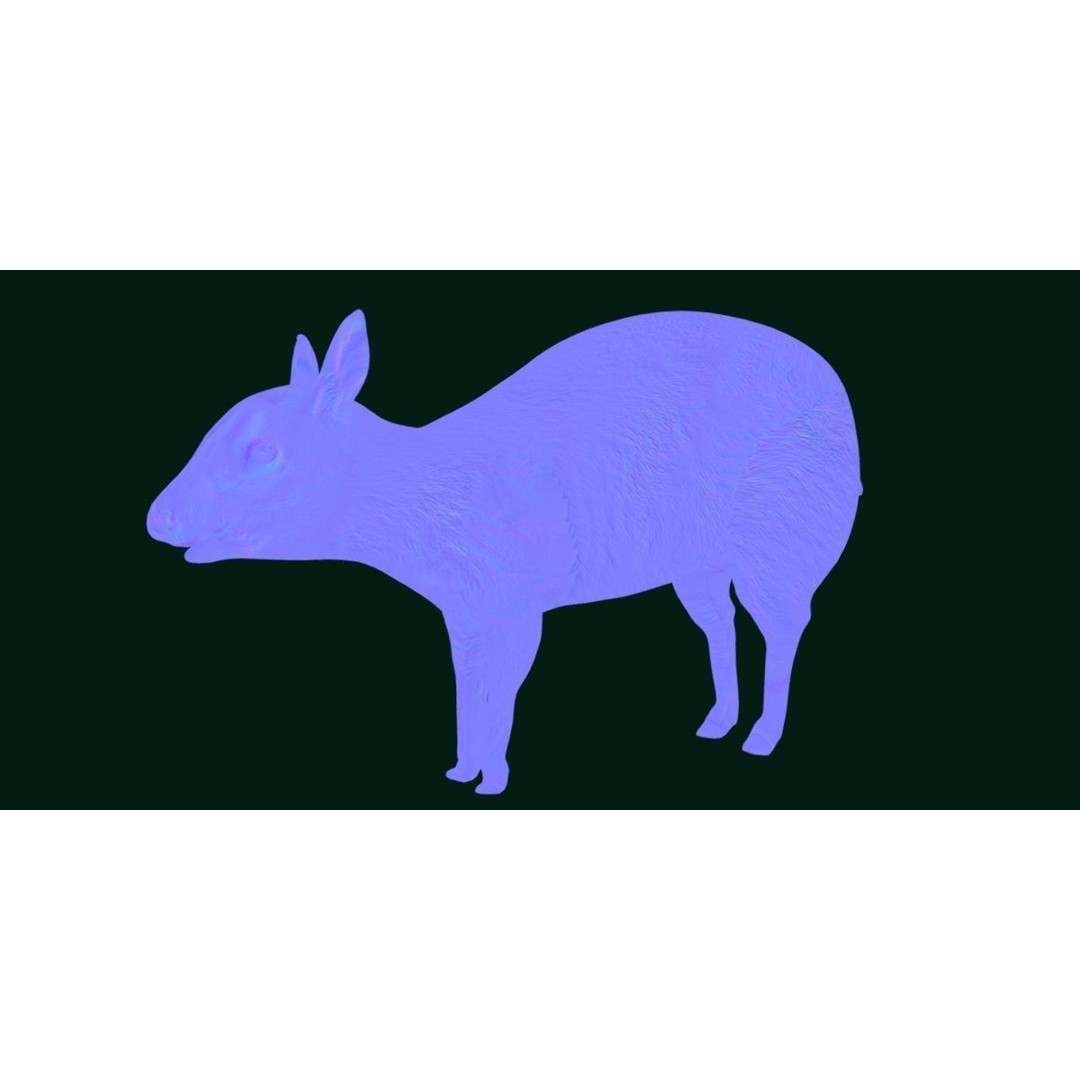 Young Chinese Muntjac Deer 3D Model – Game Ready PBR Asset, FBX - View 13