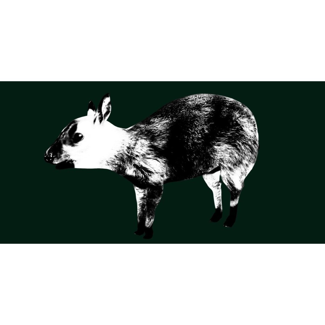 Young Chinese Muntjac Deer 3D Model – Game Ready PBR Asset, FBX - View 14