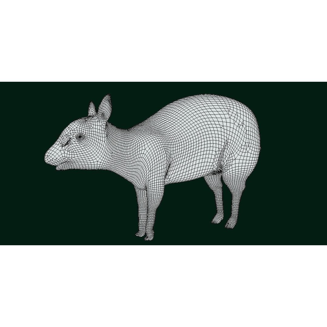 Young Chinese Muntjac Deer 3D Model – Game Ready PBR Asset, FBX - View 18