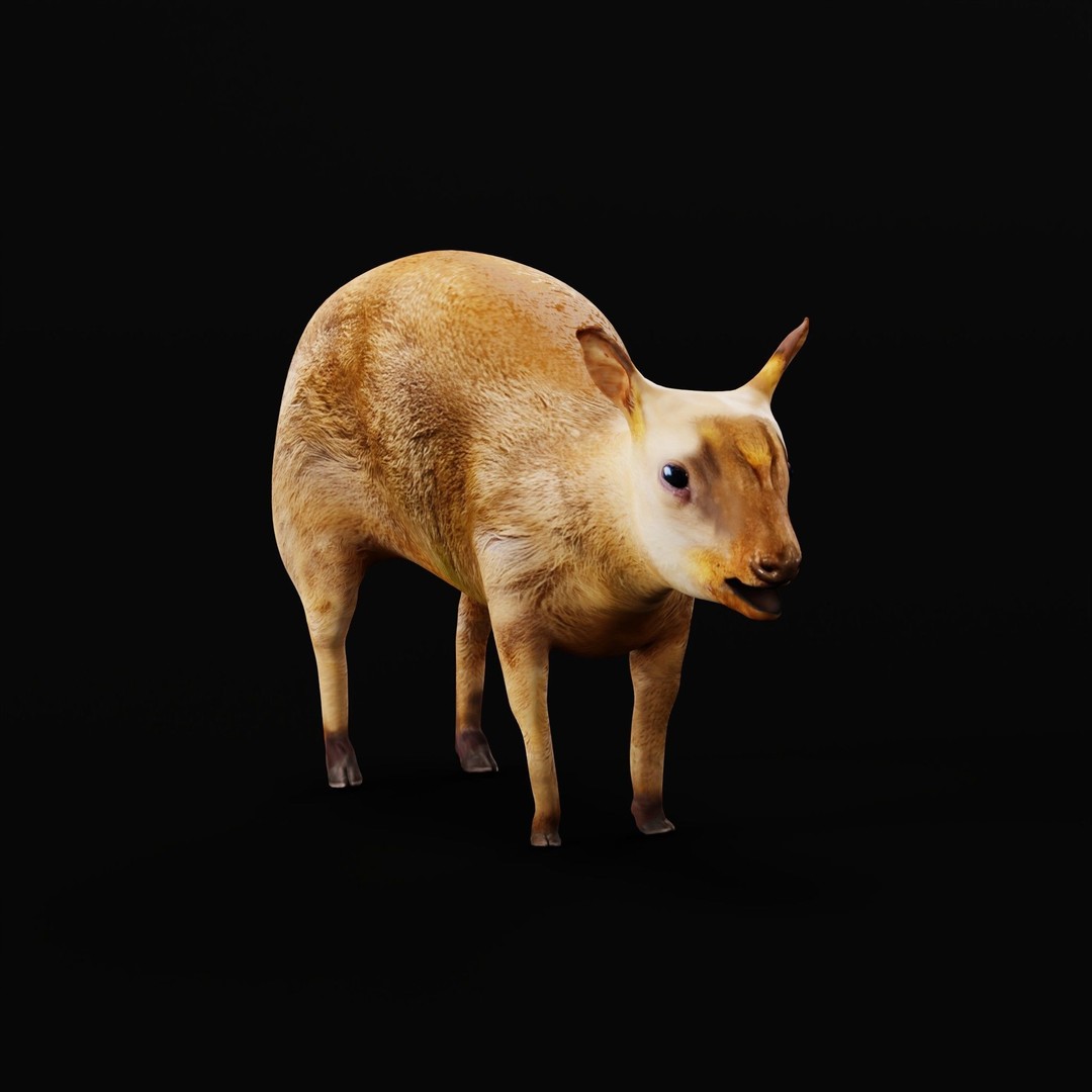 Young Chinese Muntjac Deer 3D Model – Game Ready PBR Asset, FBX - View 4