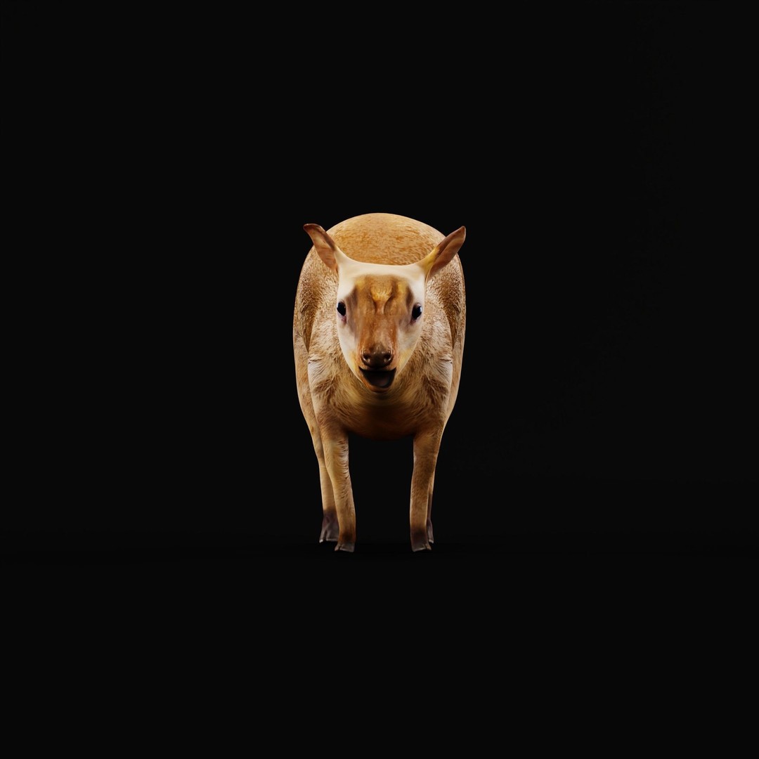 Young Chinese Muntjac Deer 3D Model – Game Ready PBR Asset, FBX - View 5