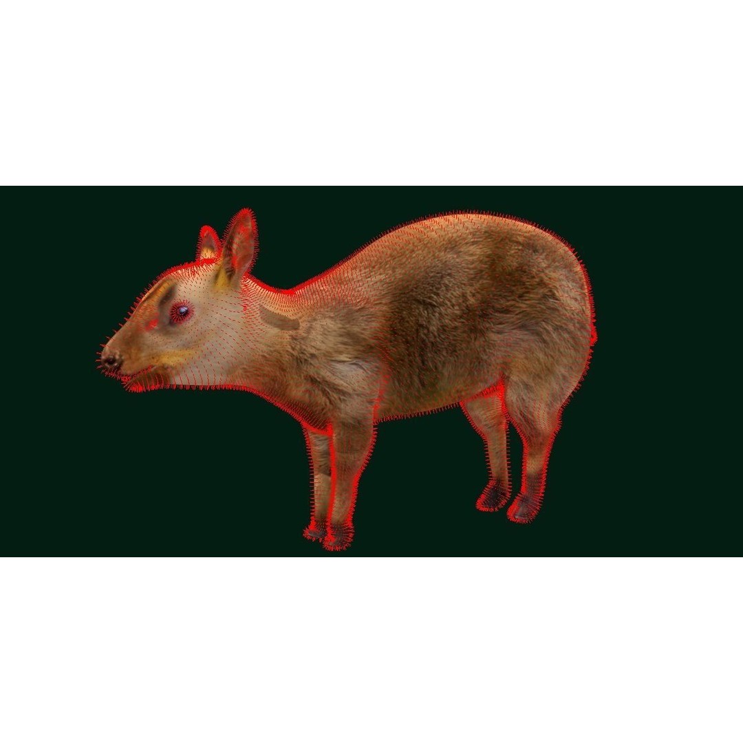 Young Chinese Muntjac Deer 3D Model – Game Ready PBR Asset, FBX - View 8