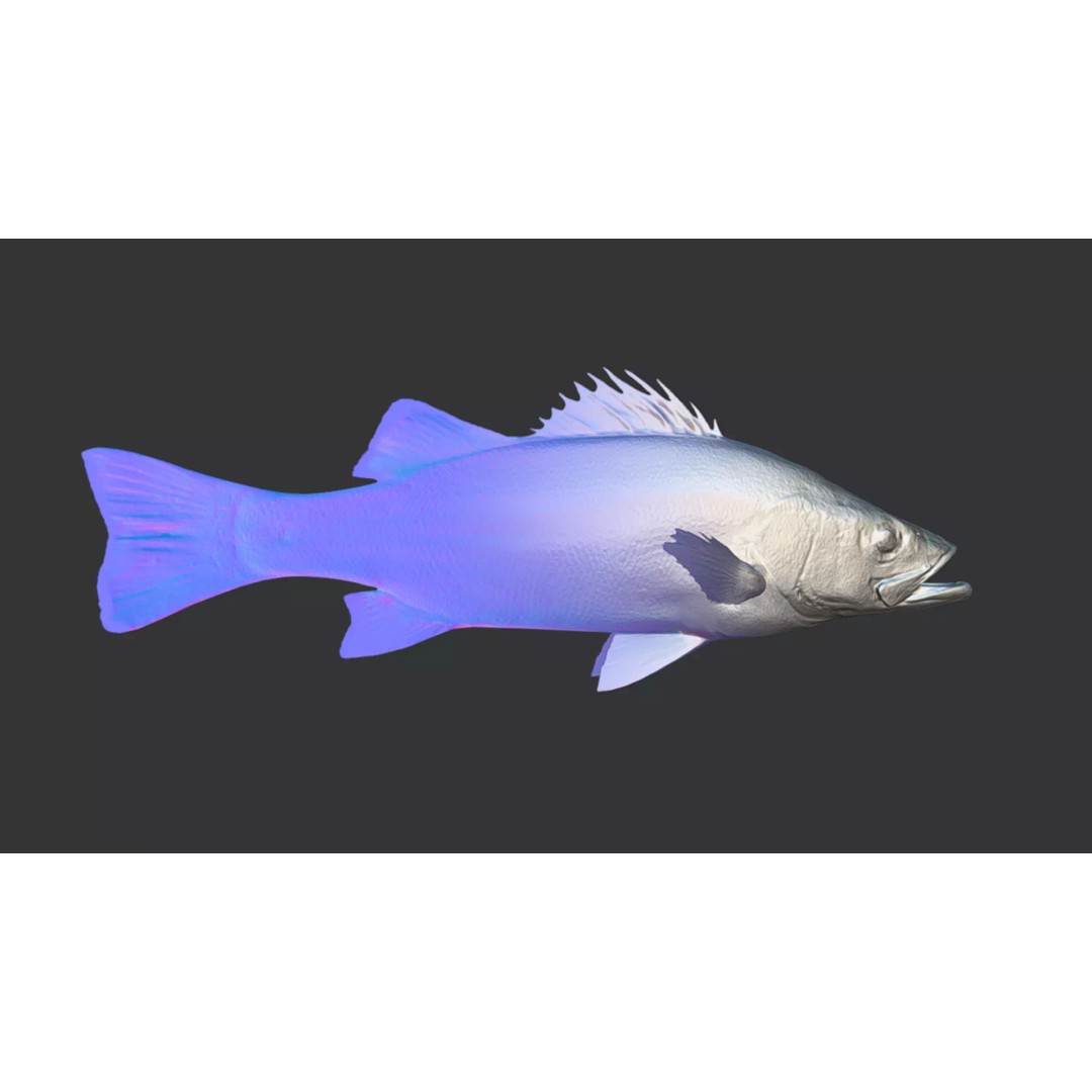 Blackfin Seabass 3D Model – Realistic Animated Low Poly Fish, FBX - View 9