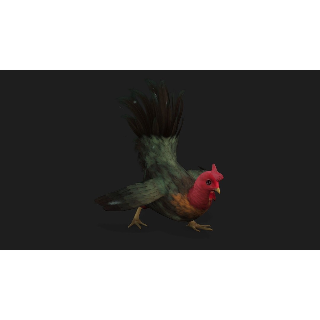 Chicken 3D Model – Low Poly Rigged Animal with PBR Textures - View 10