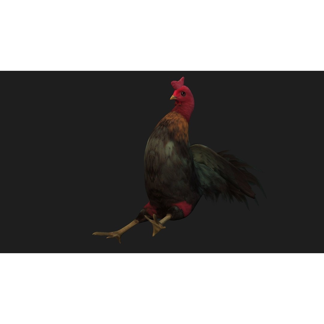 Chicken 3D Model – Low Poly Rigged Animal with PBR Textures - View 11
