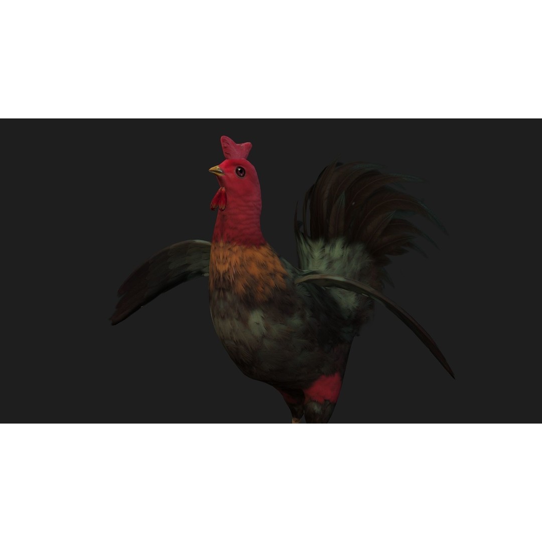 Chicken 3D Model – Low Poly Rigged Animal with PBR Textures - View 12