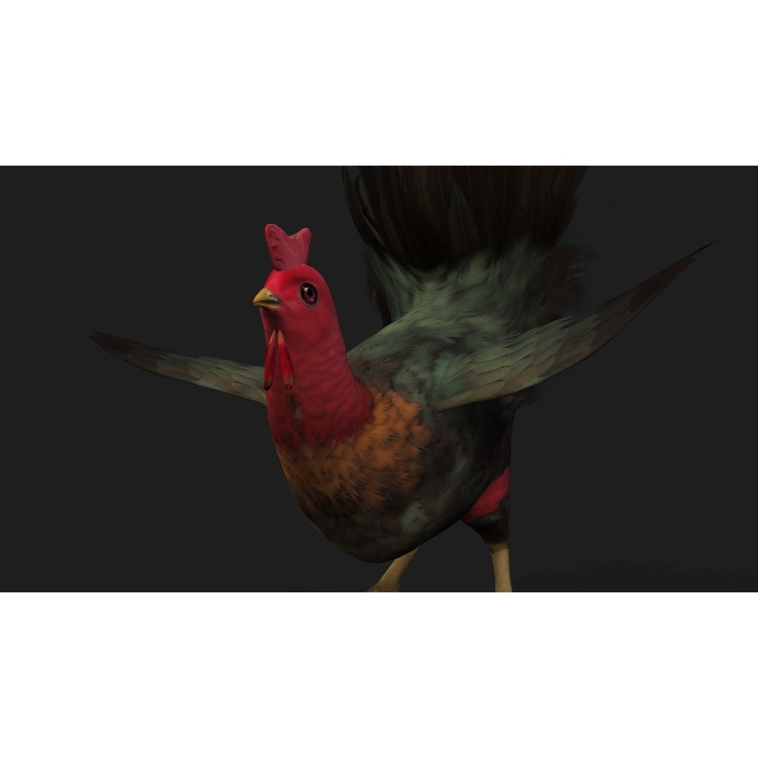 Chicken 3D Model – Low Poly Rigged Animal with PBR Textures - View 13