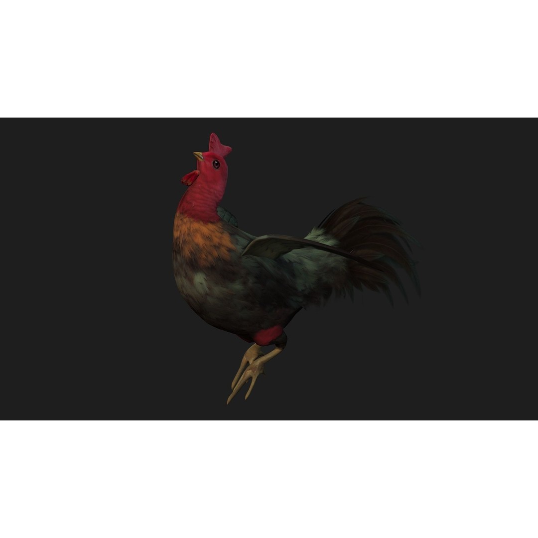 Chicken 3D Model – Low Poly Rigged Animal with PBR Textures - View 15
