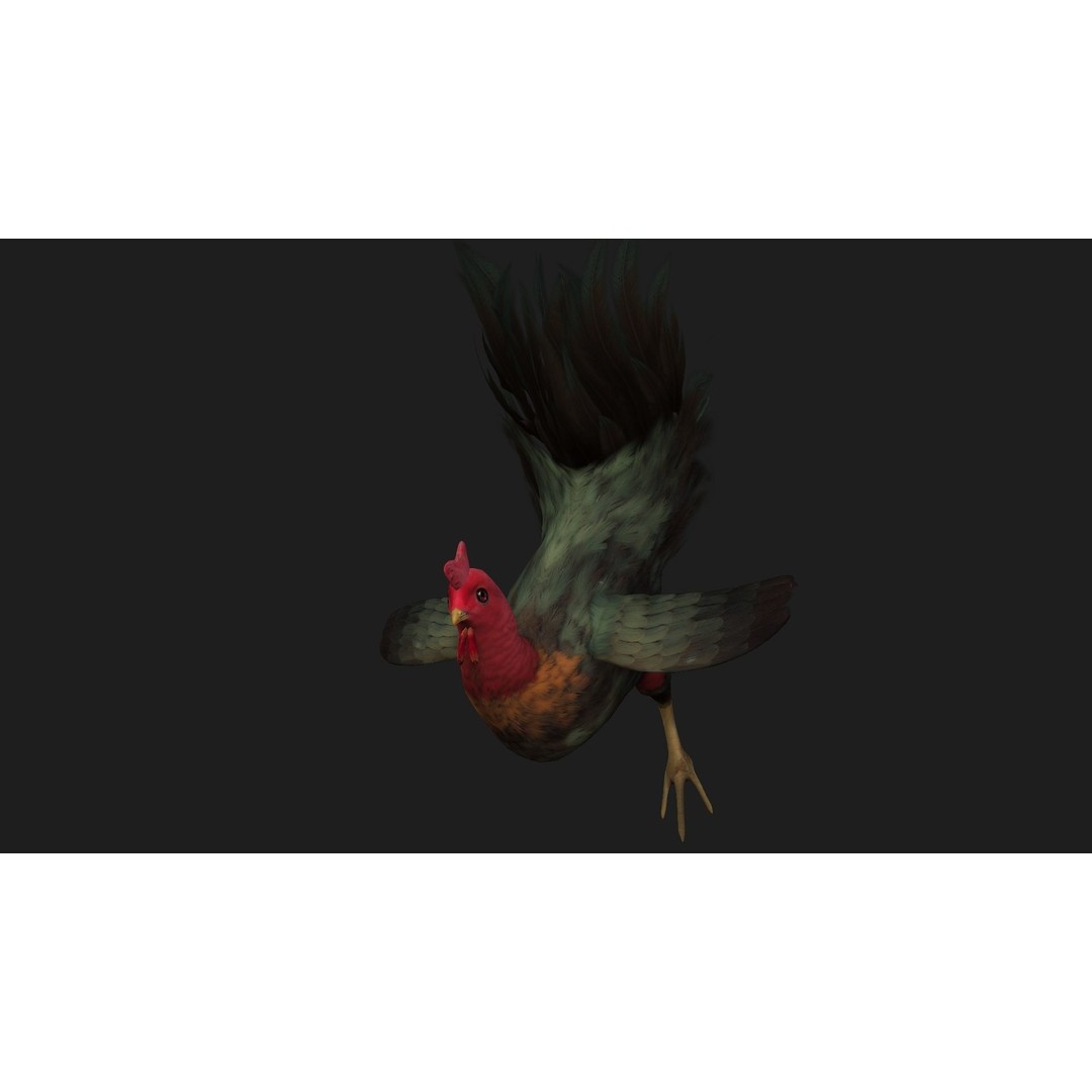 Chicken 3D Model – Low Poly Rigged Animal with PBR Textures - View 16