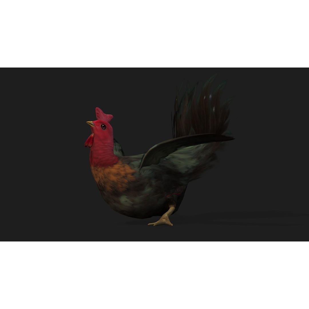 Chicken 3D Model – Low Poly Rigged Animal with PBR Textures - View 17