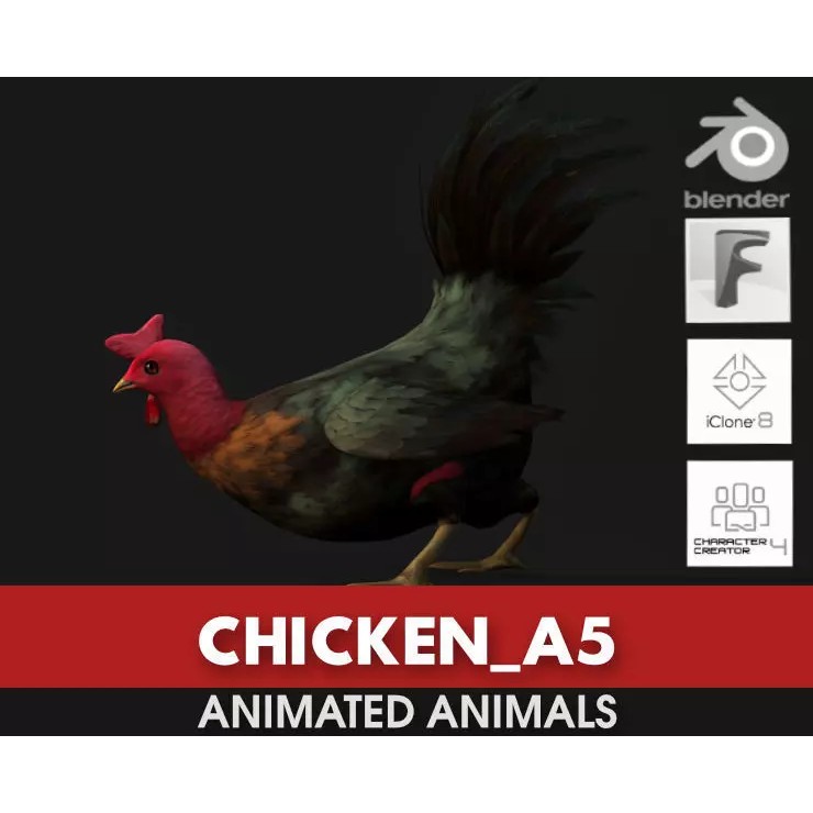 Chicken 3D Model – Low Poly Rigged Animal with PBR Textures - View 2