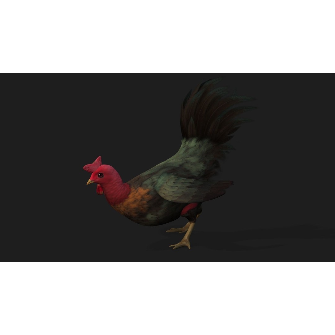 Chicken 3D Model – Low Poly Rigged Animal with PBR Textures - View 3
