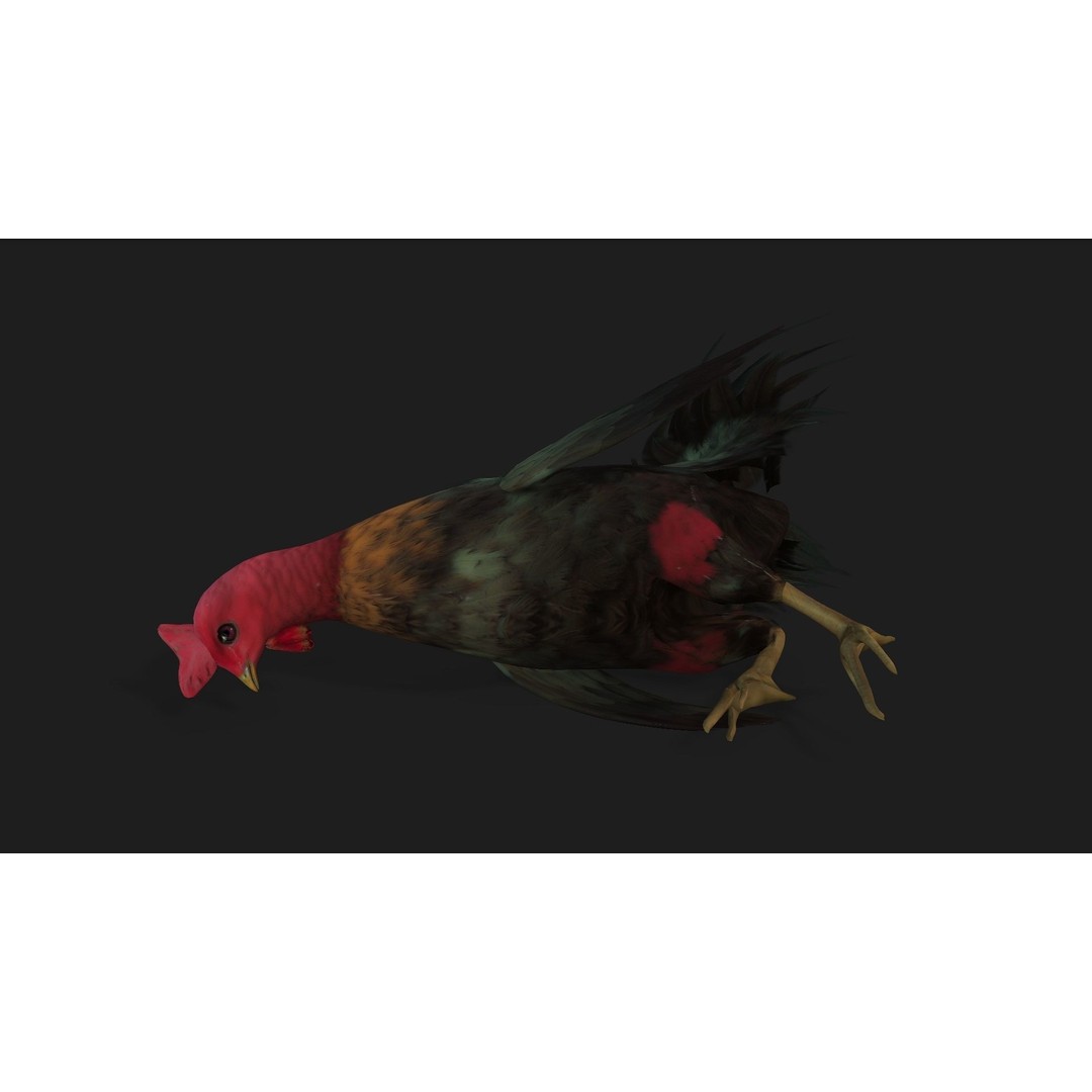 Chicken 3D Model – Low Poly Rigged Animal with PBR Textures - View 5