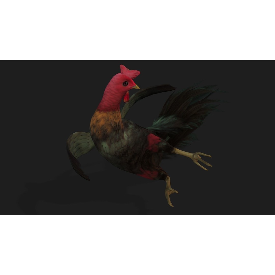 Chicken 3D Model – Low Poly Rigged Animal with PBR Textures - View 6