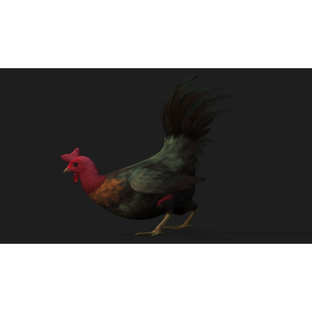 Chicken 3D Model – Low Poly Rigged Animal with PBR Textures - View 7