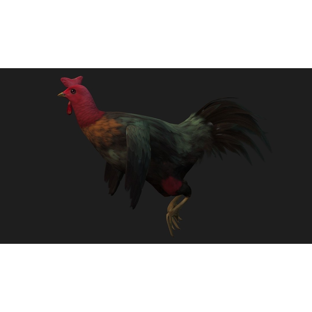 Chicken 3D Model – Low Poly Rigged Animal with PBR Textures - View 8