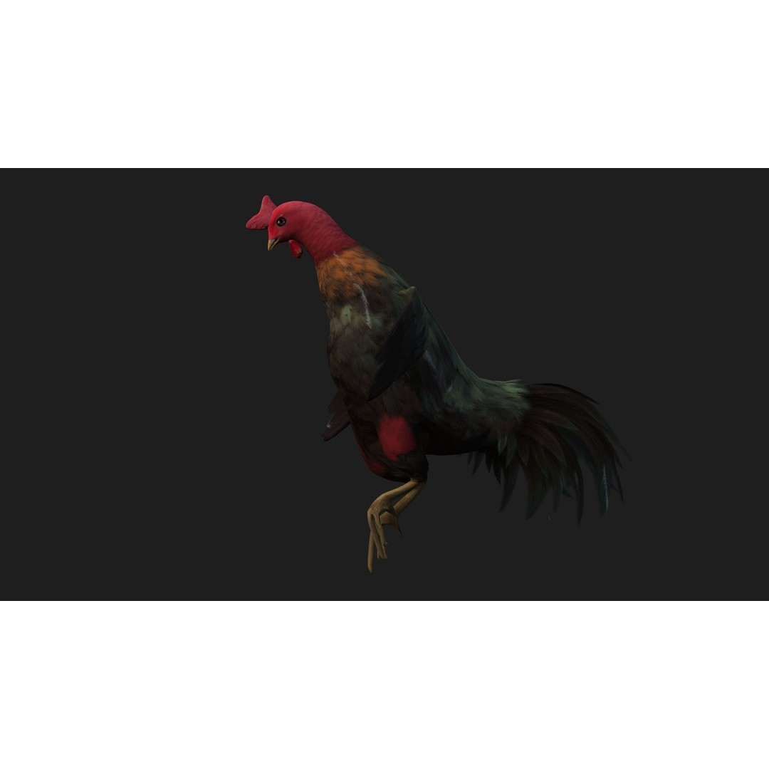 Chicken 3D Model – Low Poly Rigged Animal with PBR Textures - View 9