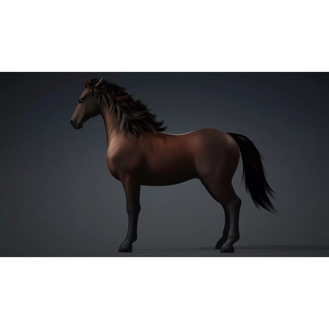 Horse 3D Model – Rigged PBR Animated Asset for Games & Animation - View 10