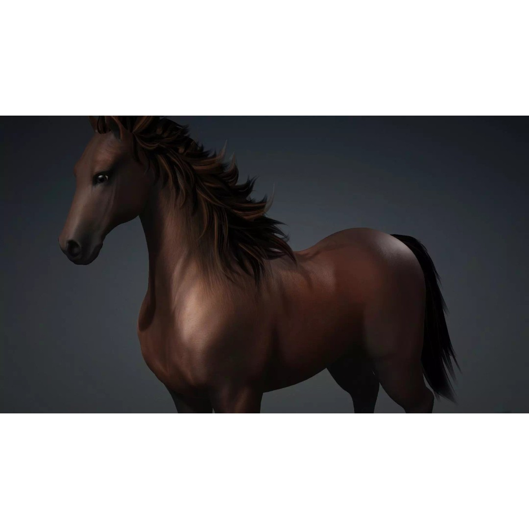Horse 3D Model – Rigged PBR Animated Asset for Games & Animation - View 12
