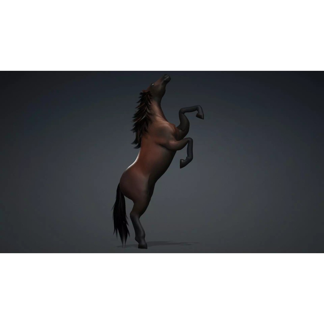 Horse 3D Model – Rigged PBR Animated Asset for Games & Animation - View 6