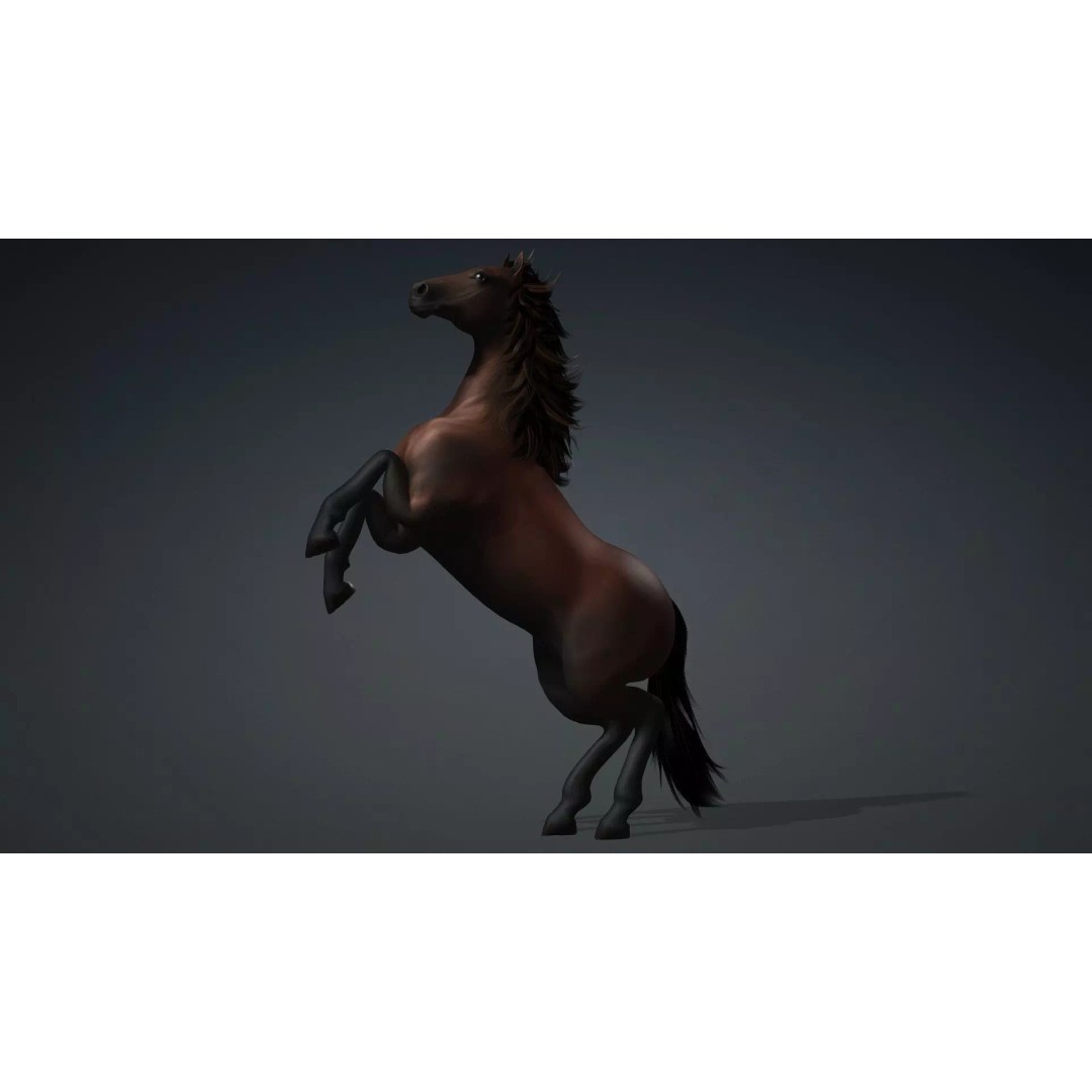 Horse 3D Model – Rigged PBR Animated Asset for Games & Animation - View 7