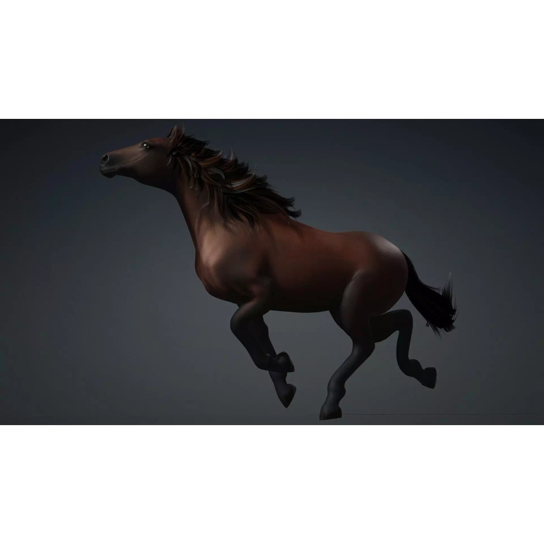 Horse 3D Model – Rigged PBR Animated Asset for Games & Animation - View 8