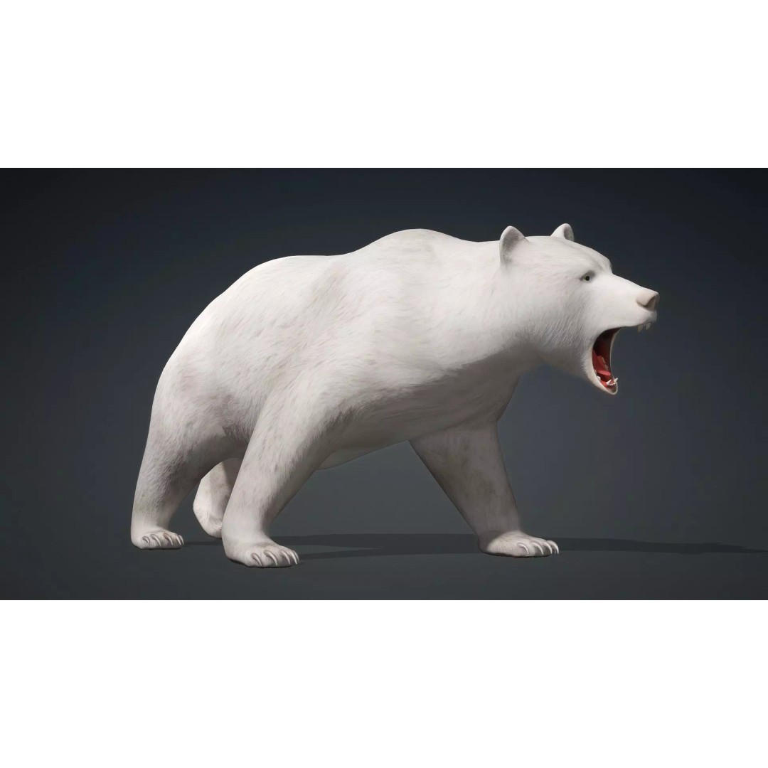 White Bear 3D Model – Rigged Animated PBR Asset for Games - View 10
