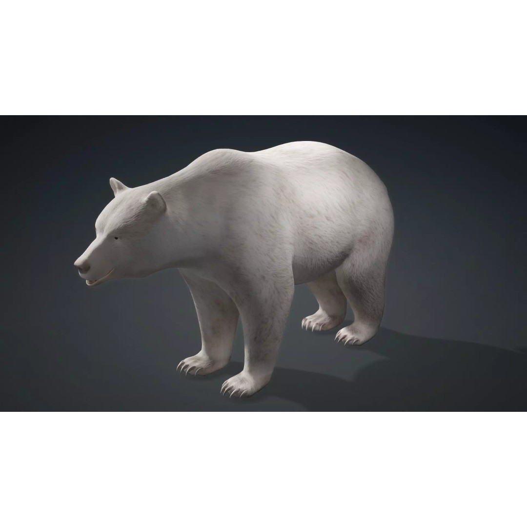 White Bear 3D Model – Rigged Animated PBR Asset for Games - View 11