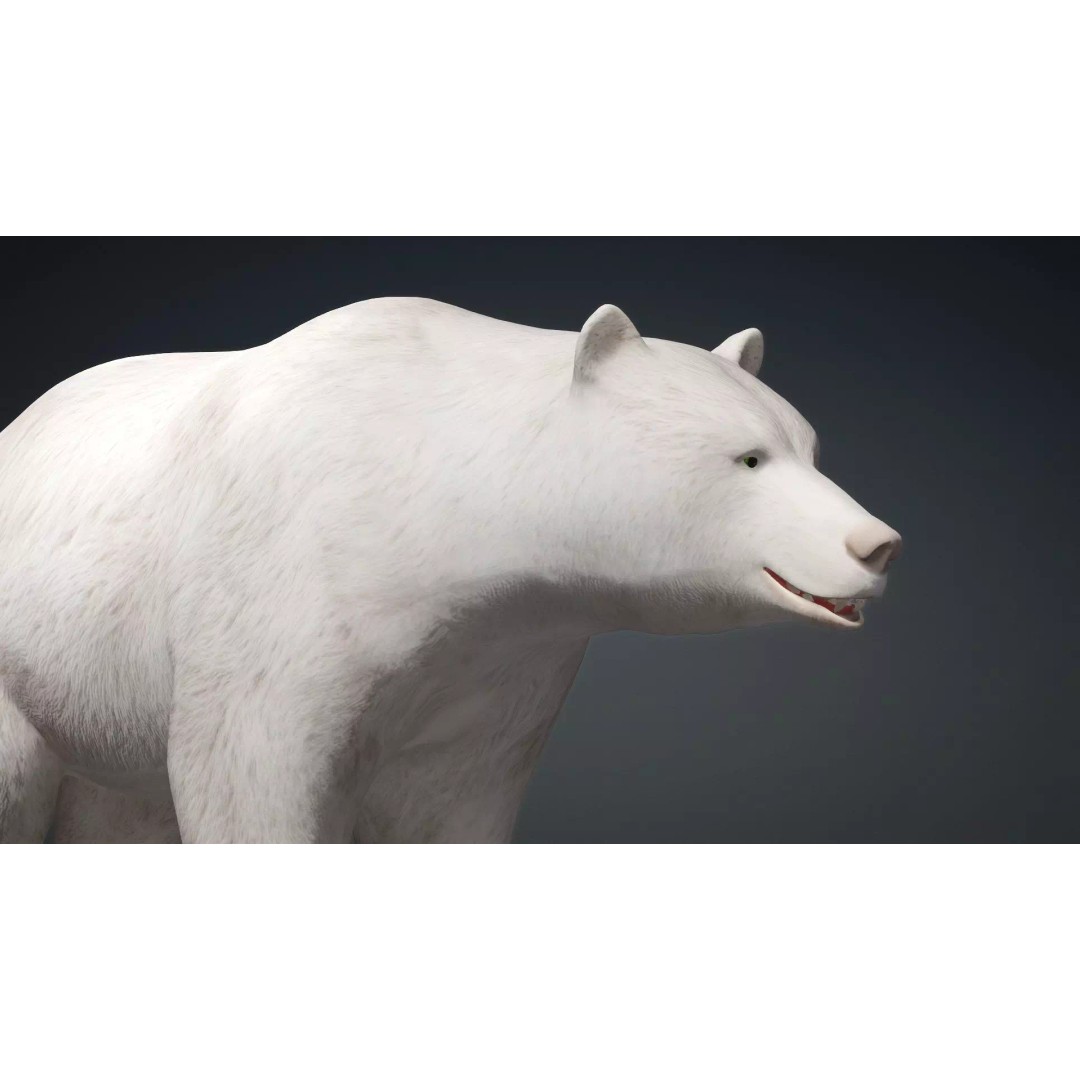 White Bear 3D Model – Rigged Animated PBR Asset for Games - View 12