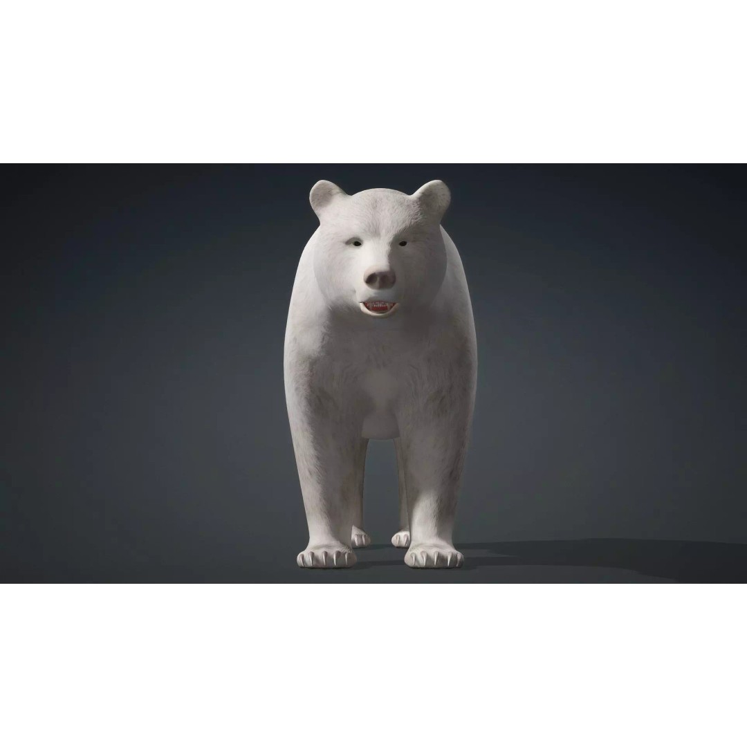 White Bear 3D Model – Rigged Animated PBR Asset for Games - View 13
