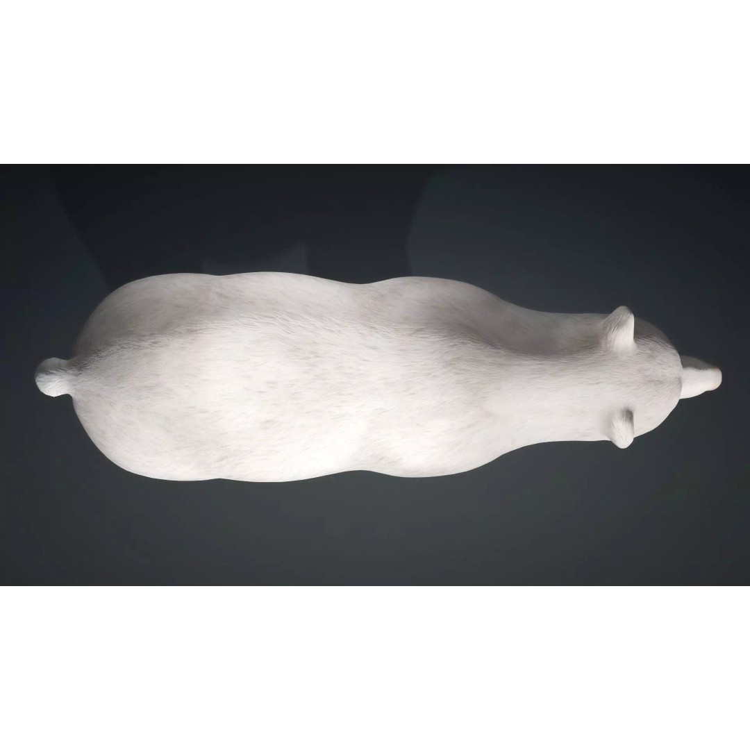 White Bear 3D Model – Rigged Animated PBR Asset for Games - View 14