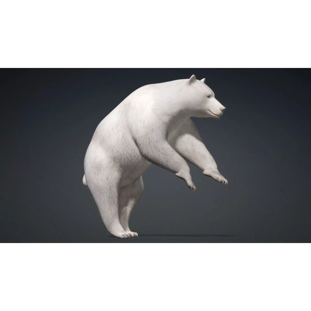 White Bear 3D Model – Rigged Animated PBR Asset for Games - View 15