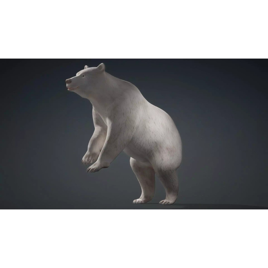 White Bear 3D Model – Rigged Animated PBR Asset for Games - View 16