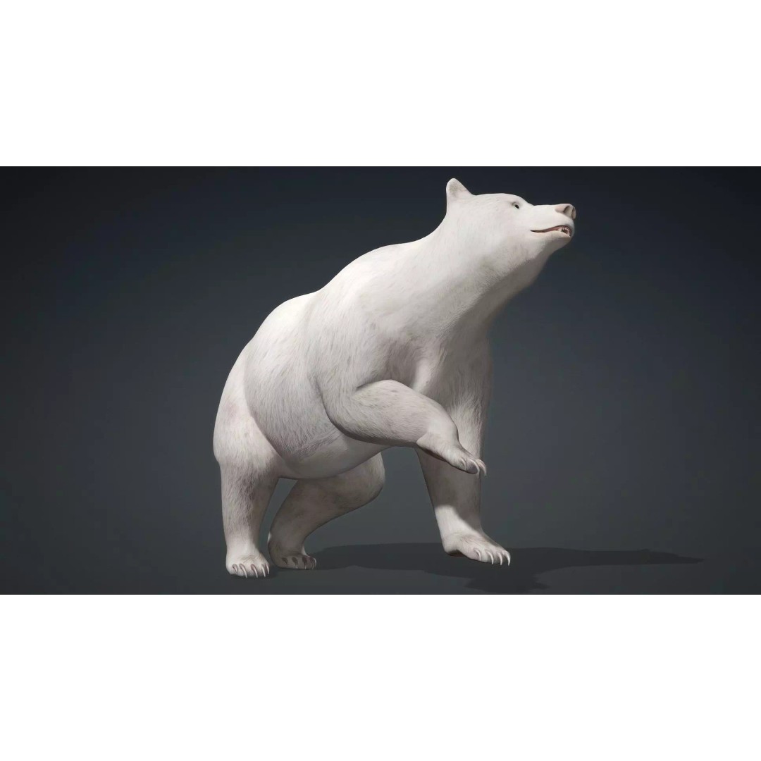 White Bear 3D Model – Rigged Animated PBR Asset for Games - View 17