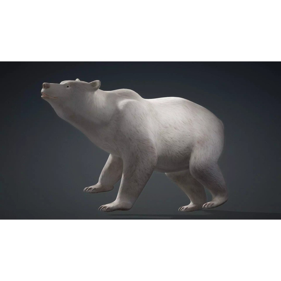 White Bear 3D Model – Rigged Animated PBR Asset for Games - View 18