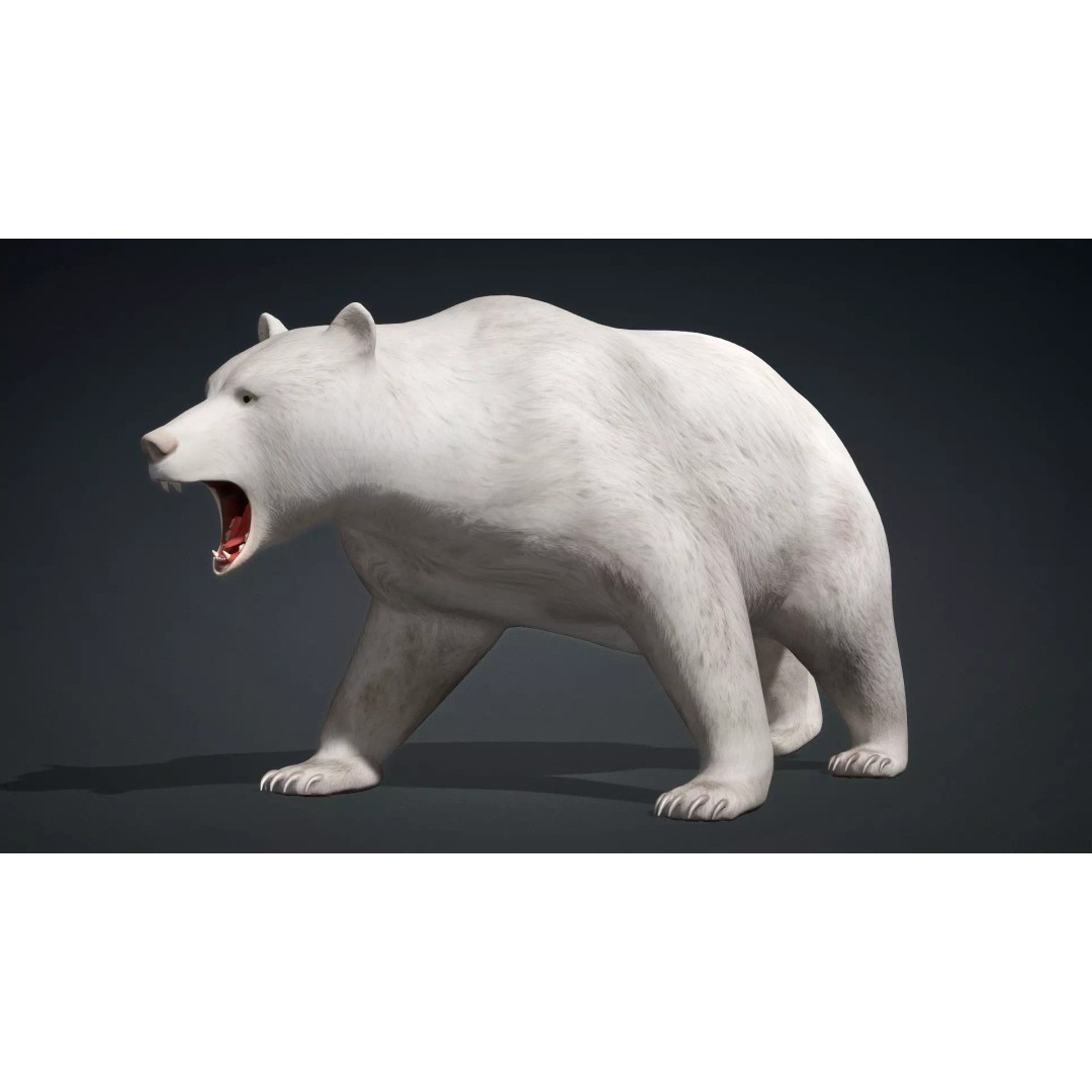 White Bear 3D Model – Rigged Animated PBR Asset for Games - View 3