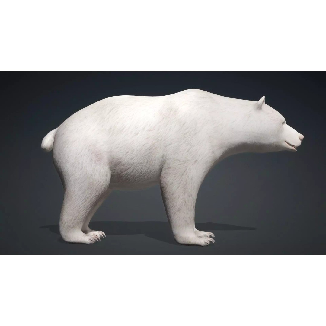 White Bear 3D Model – Rigged Animated PBR Asset for Games - View 4