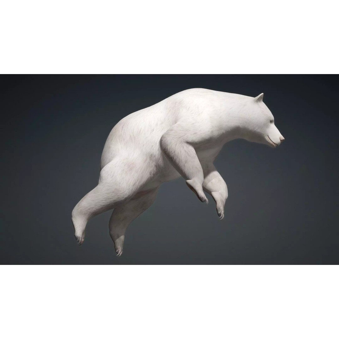 White Bear 3D Model – Rigged Animated PBR Asset for Games - View 5