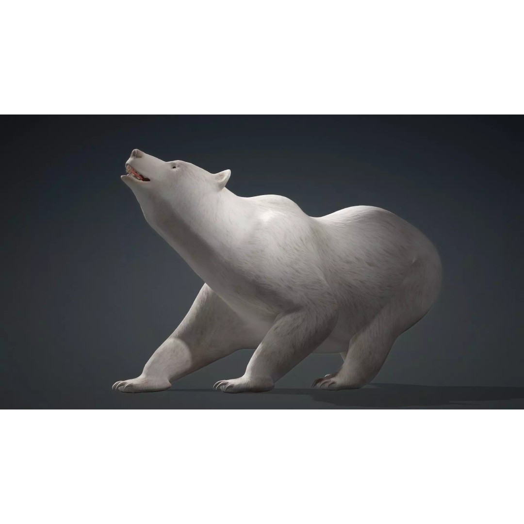 White Bear 3D Model – Rigged Animated PBR Asset for Games - View 6