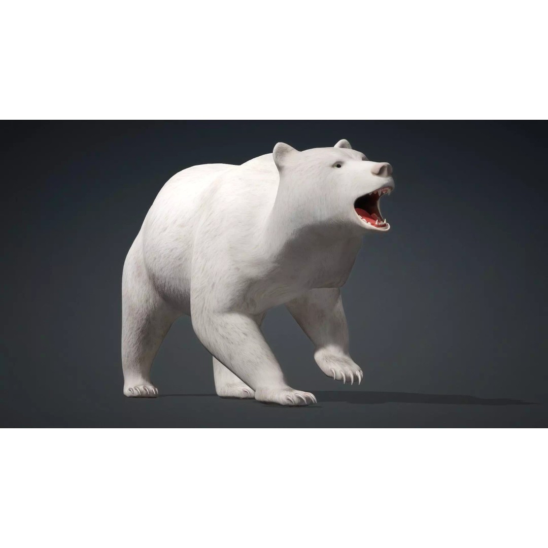 White Bear 3D Model – Rigged Animated PBR Asset for Games - View 7
