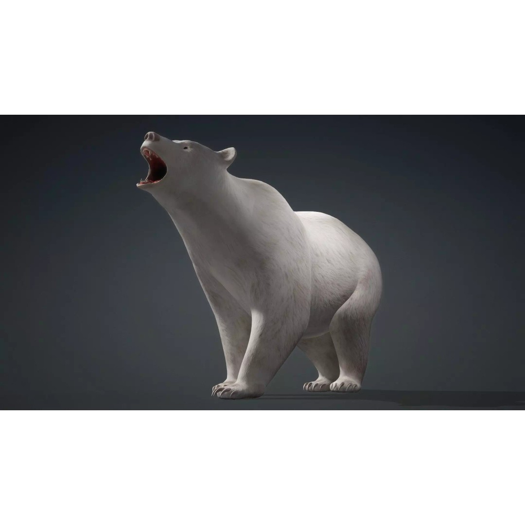 White Bear 3D Model – Rigged Animated PBR Asset for Games - View 8