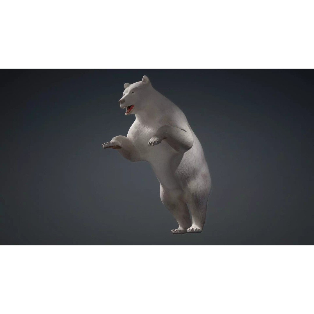 White Bear 3D Model – Rigged Animated PBR Asset for Games - View 9