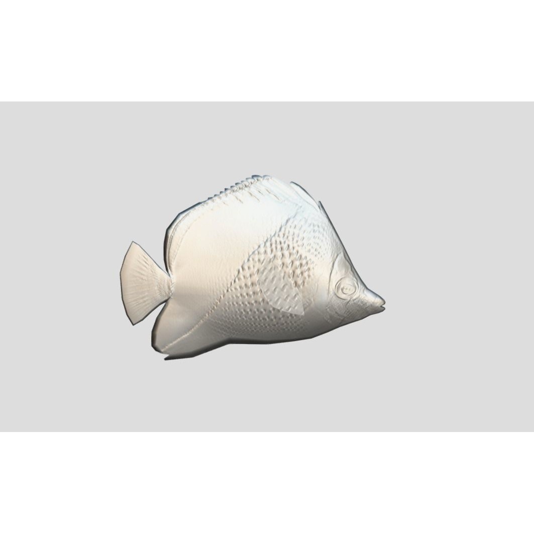 Coral Reef Fish Collection 3D Model – Low Poly Animated Game Asset, FBX - View 17