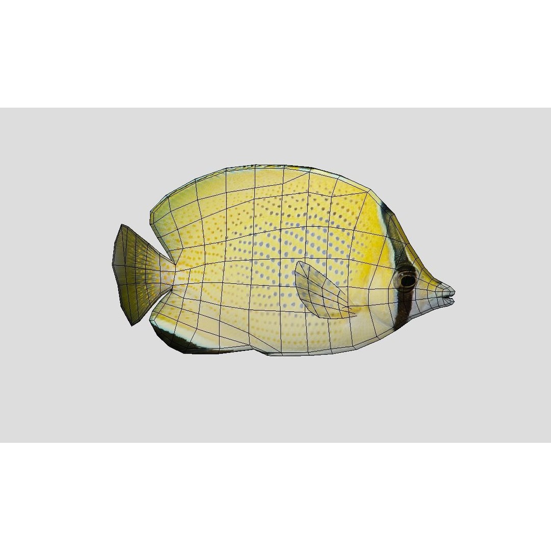 Coral Reef Fish Collection 3D Model – Low Poly Animated Game Asset, FBX - View 54