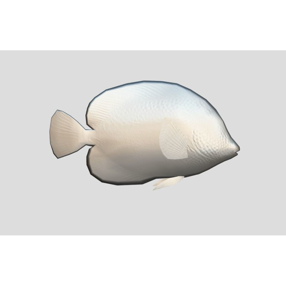 Coral Reef Fish Collection 3D Model – Low Poly Animated Game Asset, FBX - View 57