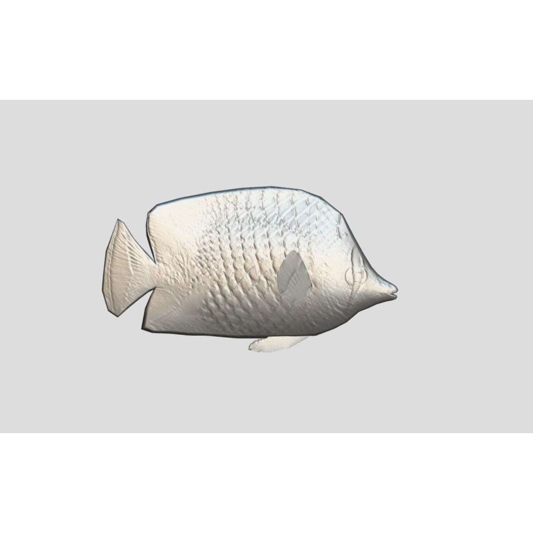 Coral Reef Fish Collection 3D Model – Low Poly Animated Game Asset, FBX - View 9