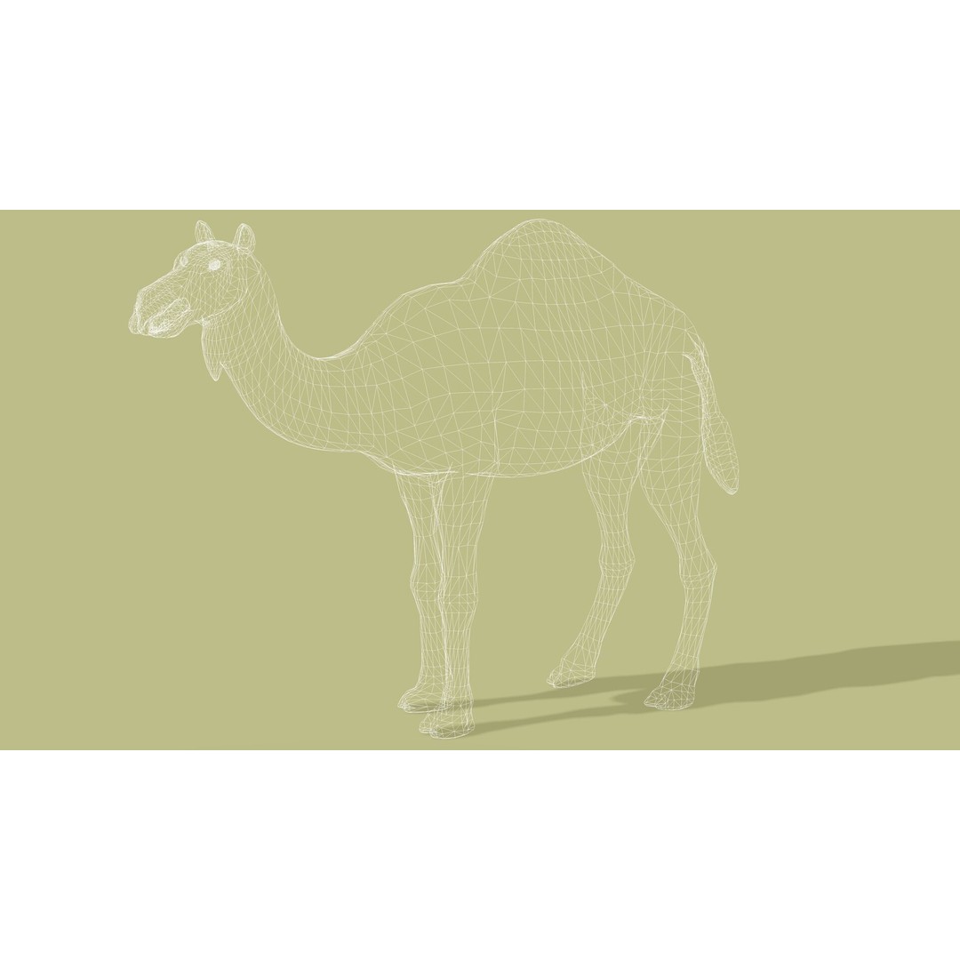 Camel 3D Model – Rigged Low-Poly Character with Animations, FBX - View 14
