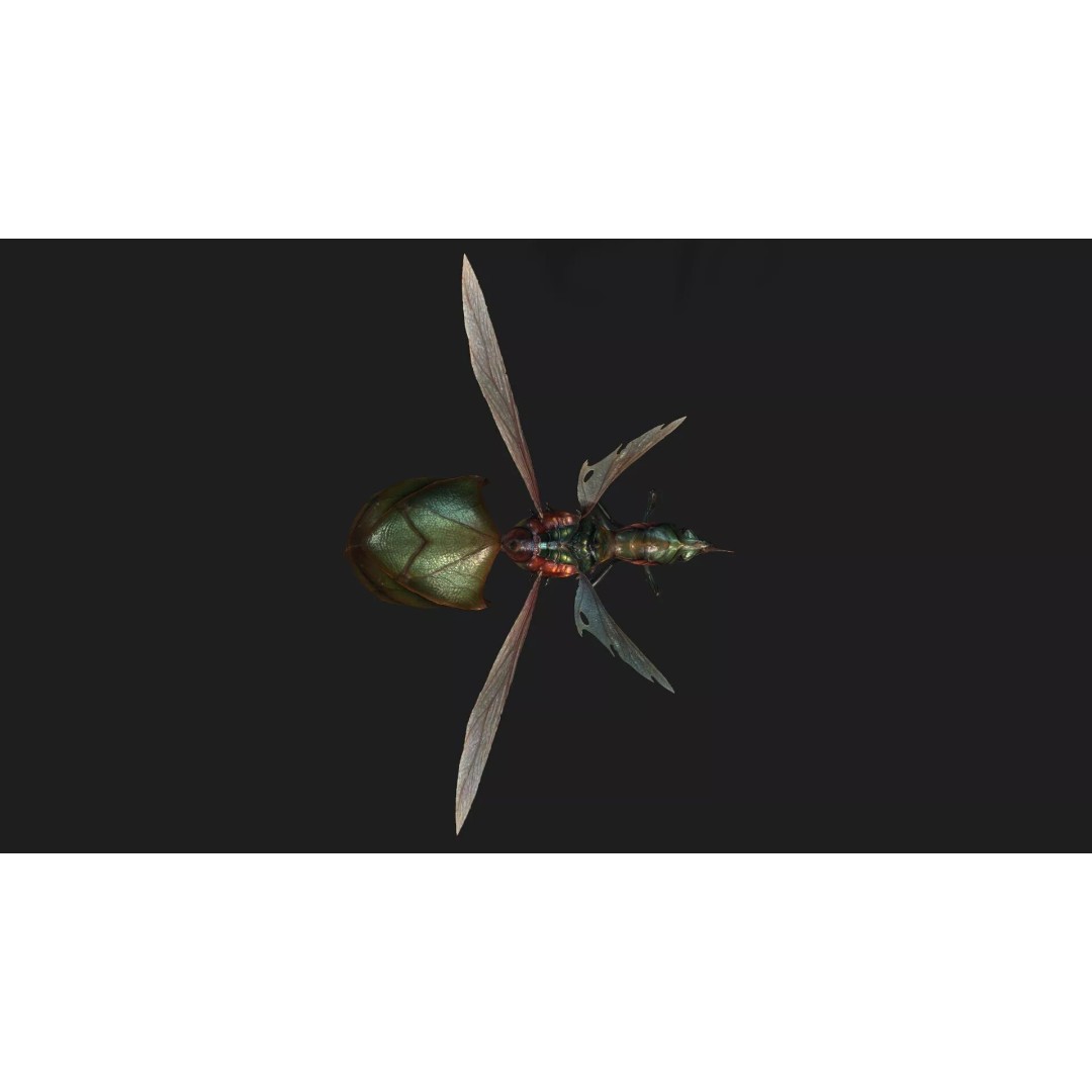 Bee Monster 3D Model – Low Poly Animated Insect with PBR Textures - View 7