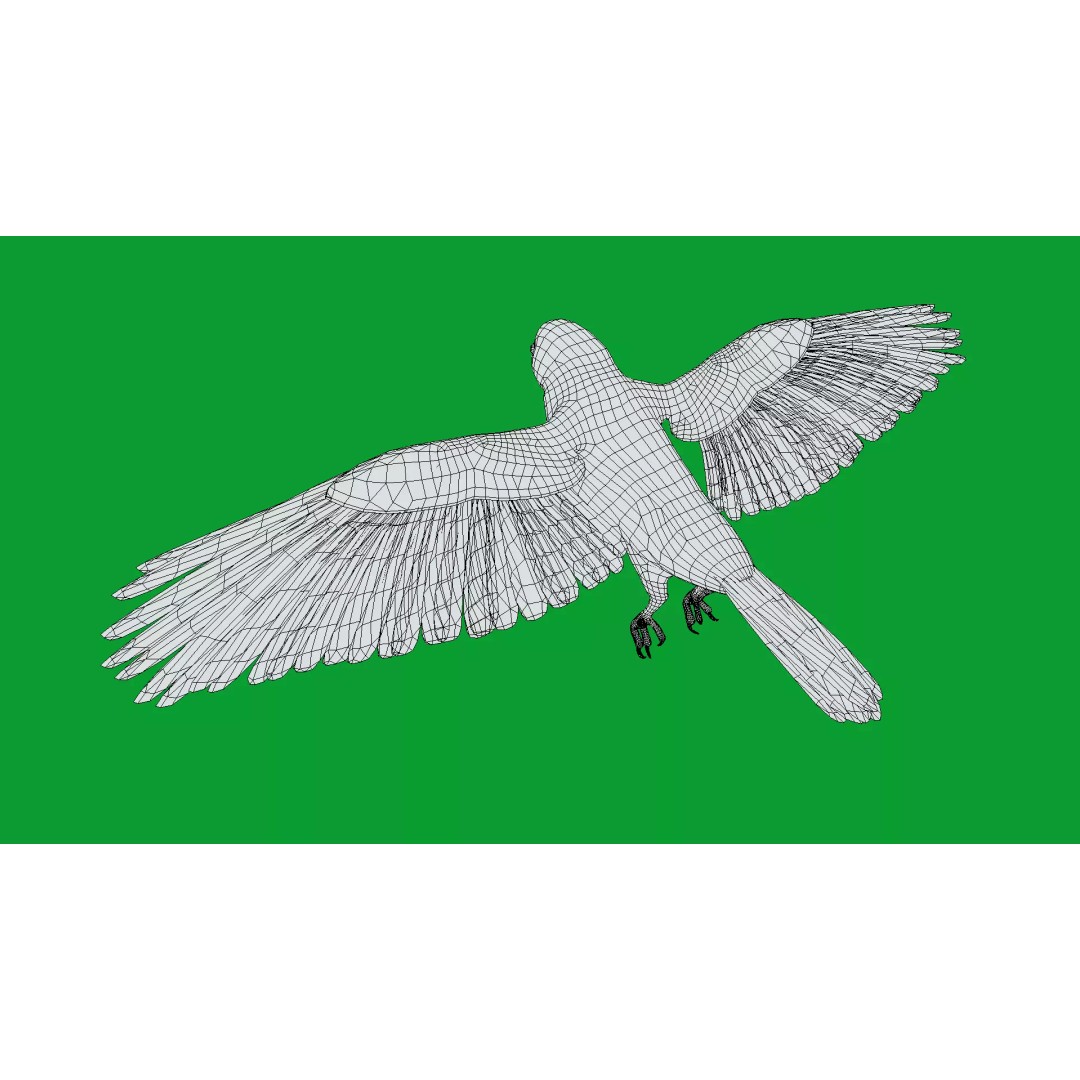 Eurasian Tree Sparrow 3D Model – Low Poly Animated Game Asset, FBX - View 10